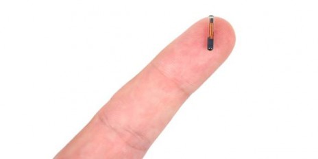 Ein Implantat liegt auf dem Finger einer Person.