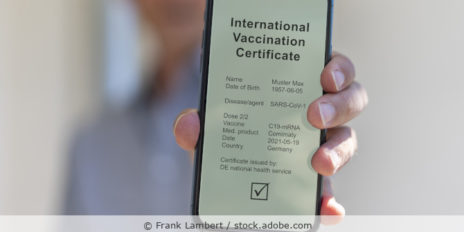Internationales Impfzertifikat Covid 19 auf einem Smartphone