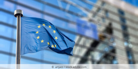 EU Flagge vor einem Gebäude.